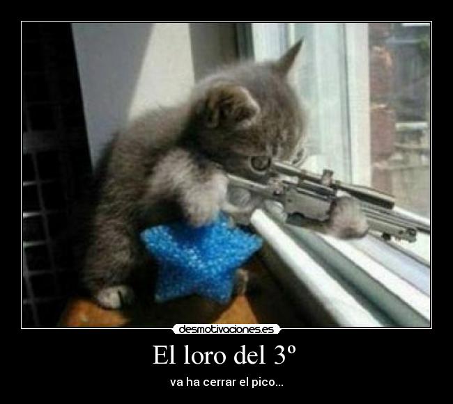 carteles maestropedro desmotivaciones