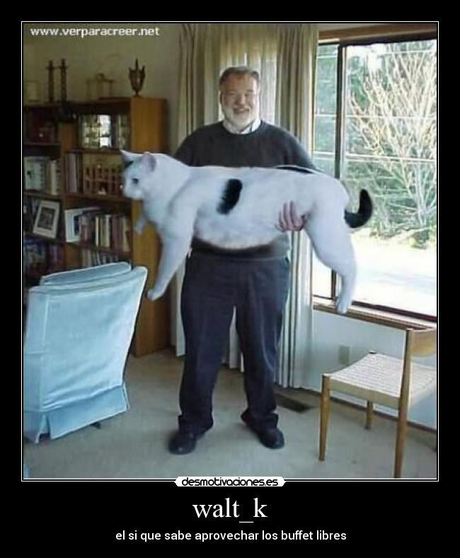 walt_k - el si que sabe aprovechar los buffet libres