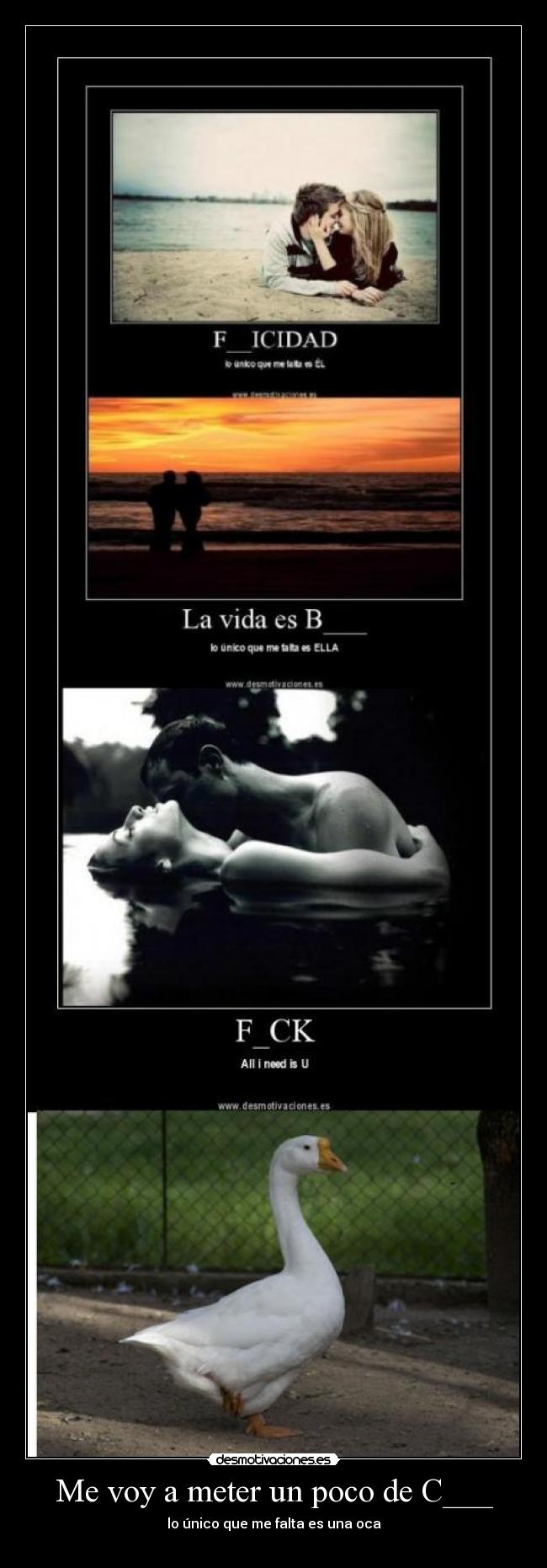 Me voy a meter un poco de C___ - lo único que me falta es una oca
