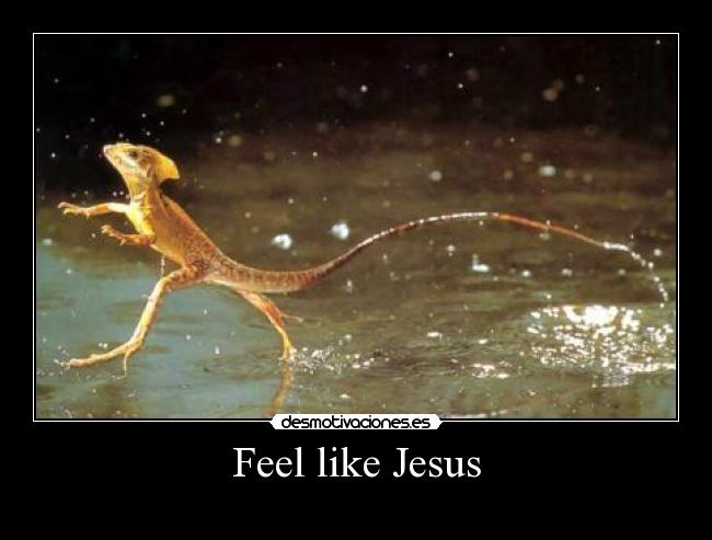 Feel like Jesus - 