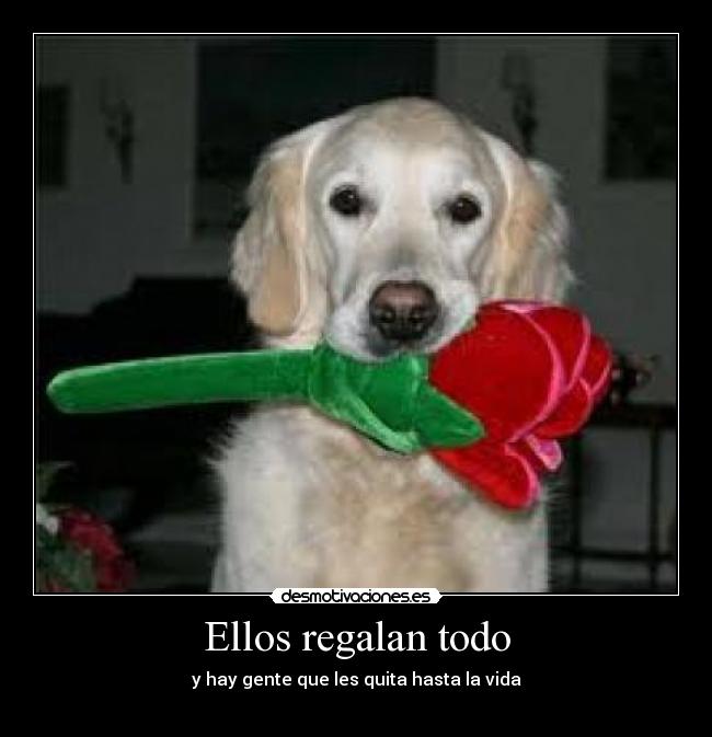 Ellos regalan todo - y hay gente que les quita hasta la vida