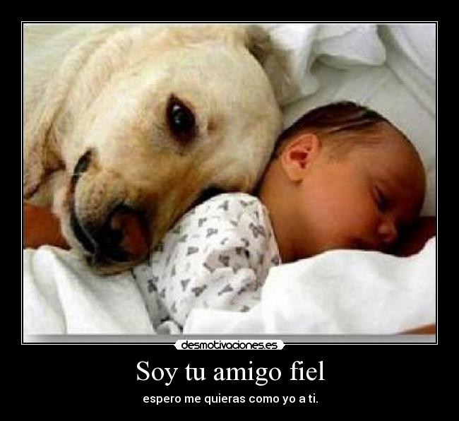 Soy tu amigo fiel -