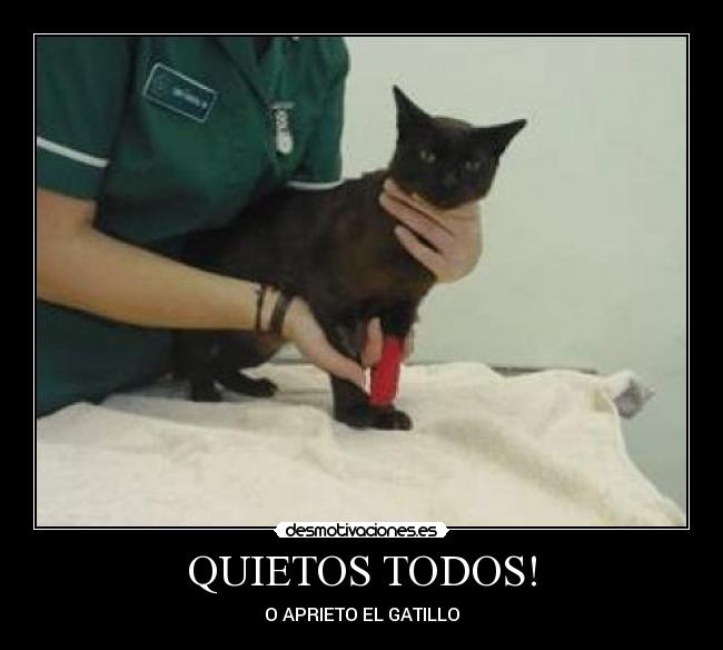 QUIETOS TODOS! - 
