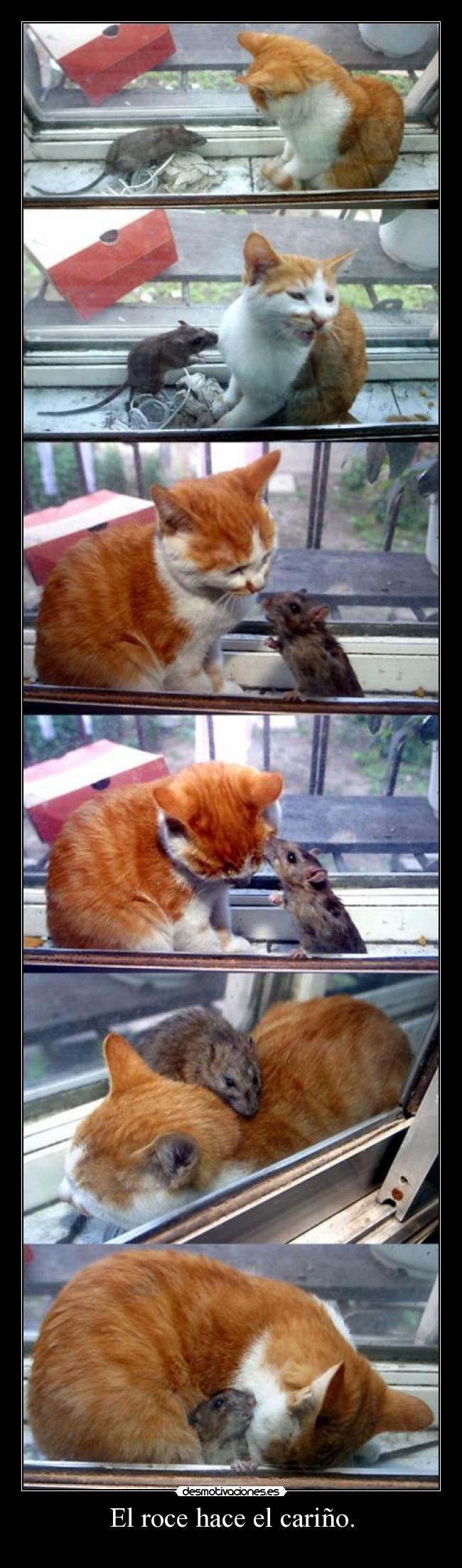 El roce hace el cariño. - 