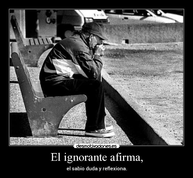 El ignorante afirma, - 