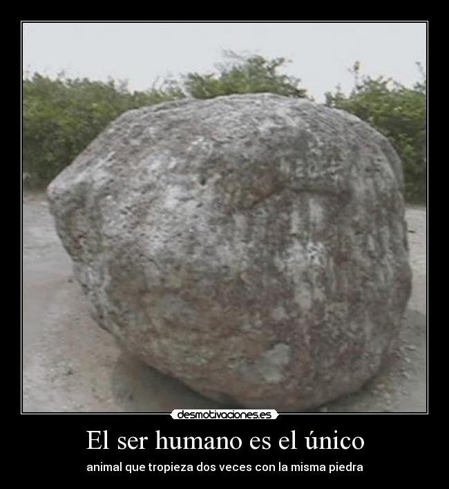 El ser humano es el único - 