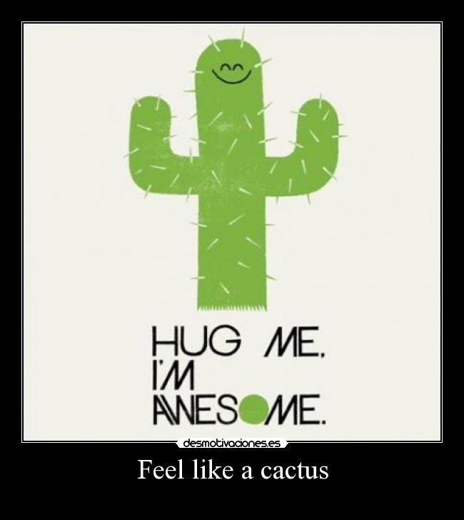Feel like a cactus - 
