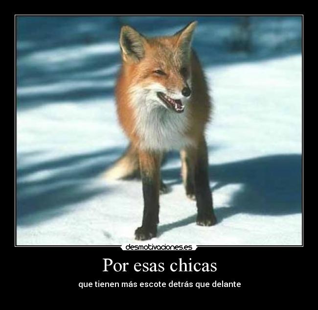 Por esas chicas - 