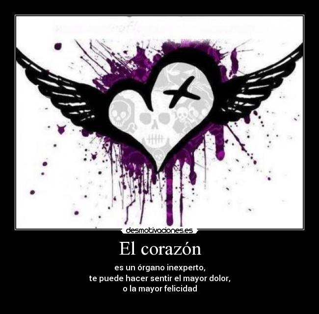 El corazón - es un órgano inexperto,
te puede hacer sentir el mayor dolor,
o la mayor felicidad