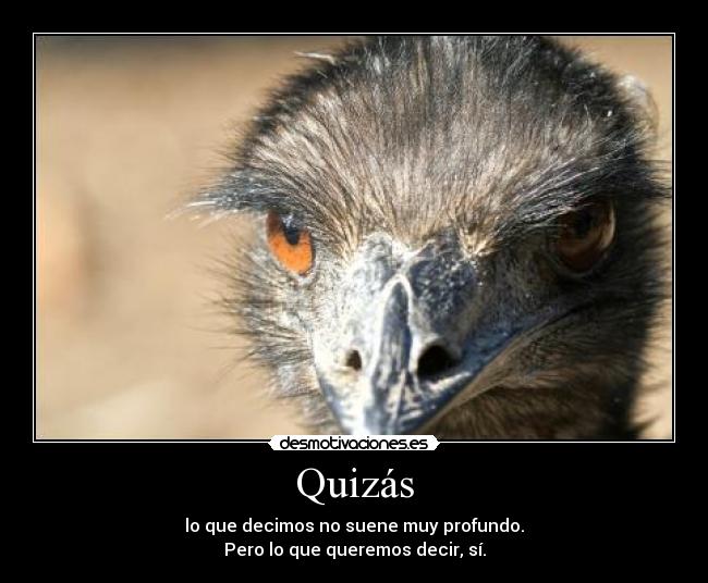 Quizás -