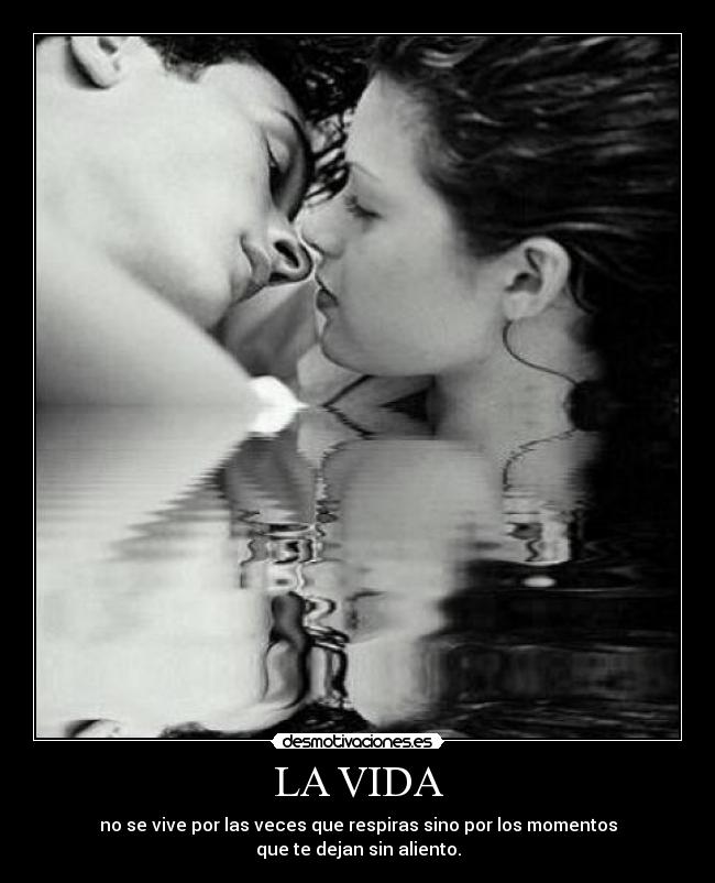 carteles vida vida desmotivaciones