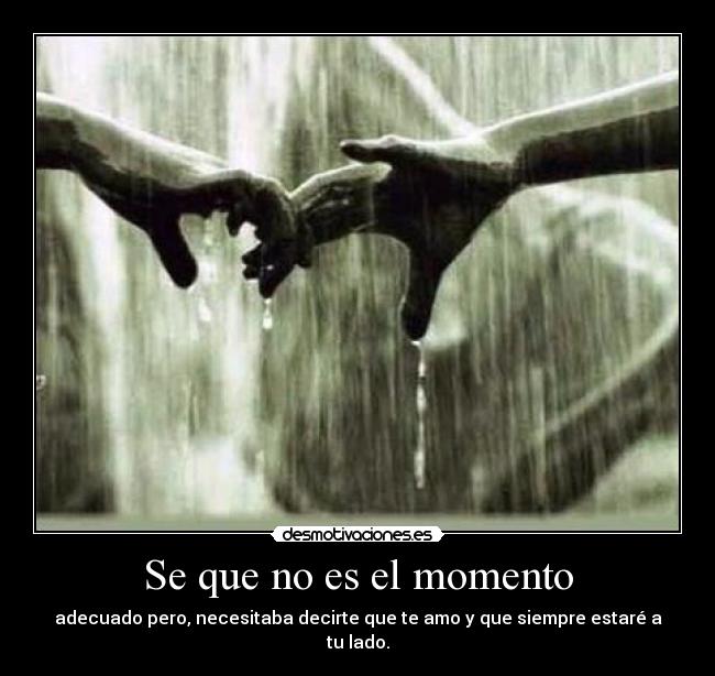 Se que no es el momento - adecuado pero, necesitaba decirte que te amo y que siempre estaré a tu lado.