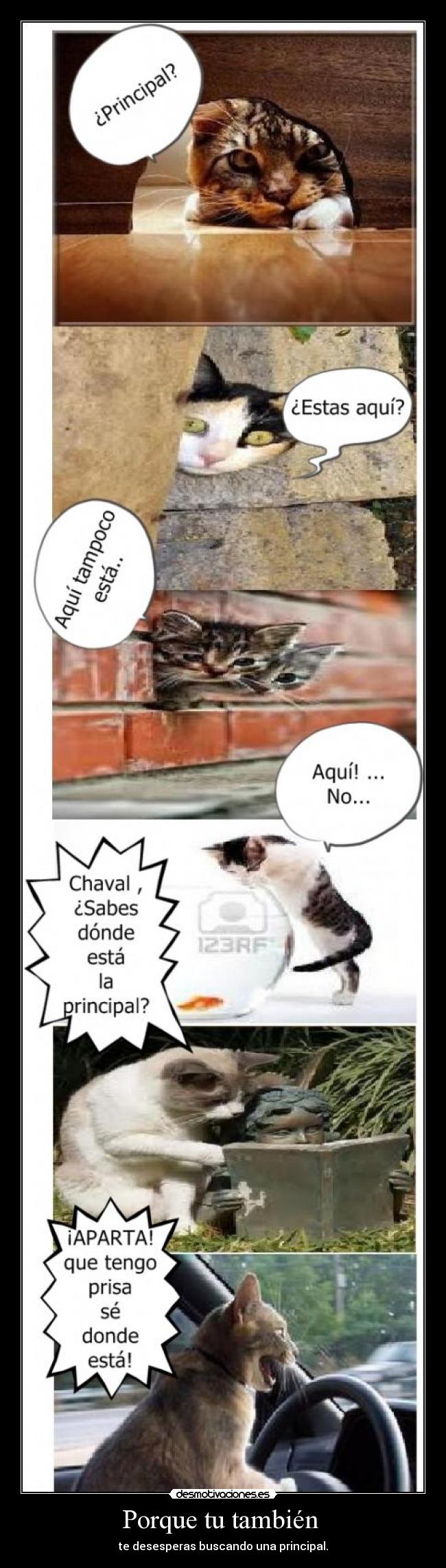 Porque tu también -