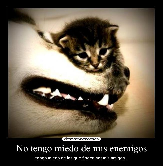 No tengo miedo de mis enemigos -