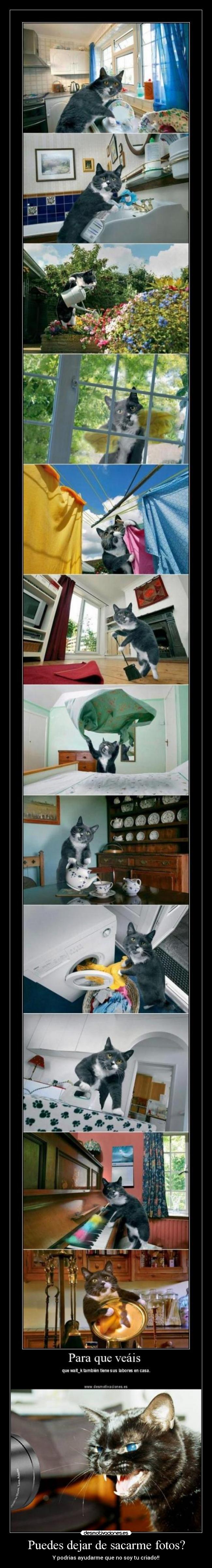 Puedes dejar de sacarme fotos? -