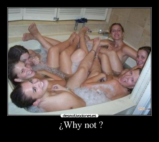 ¿Why not ? -