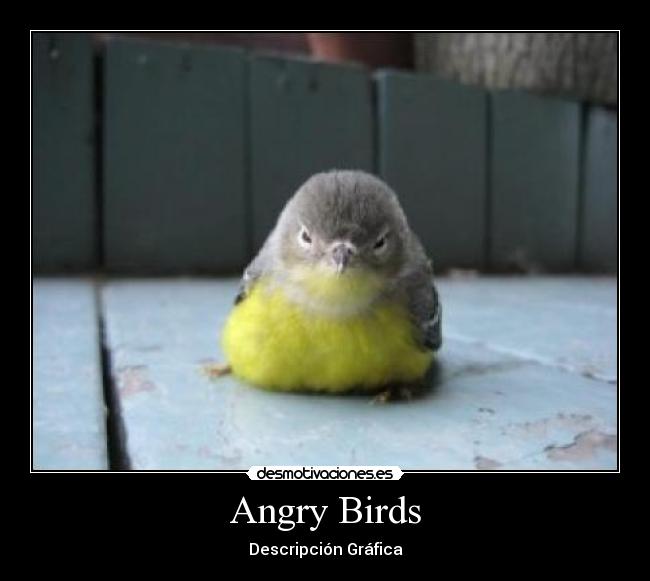 Angry Birds - 