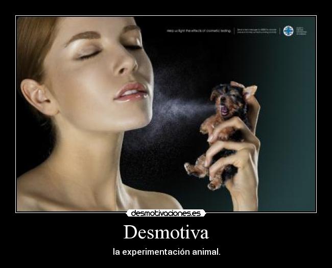 Desmotiva - la experimentación animal.