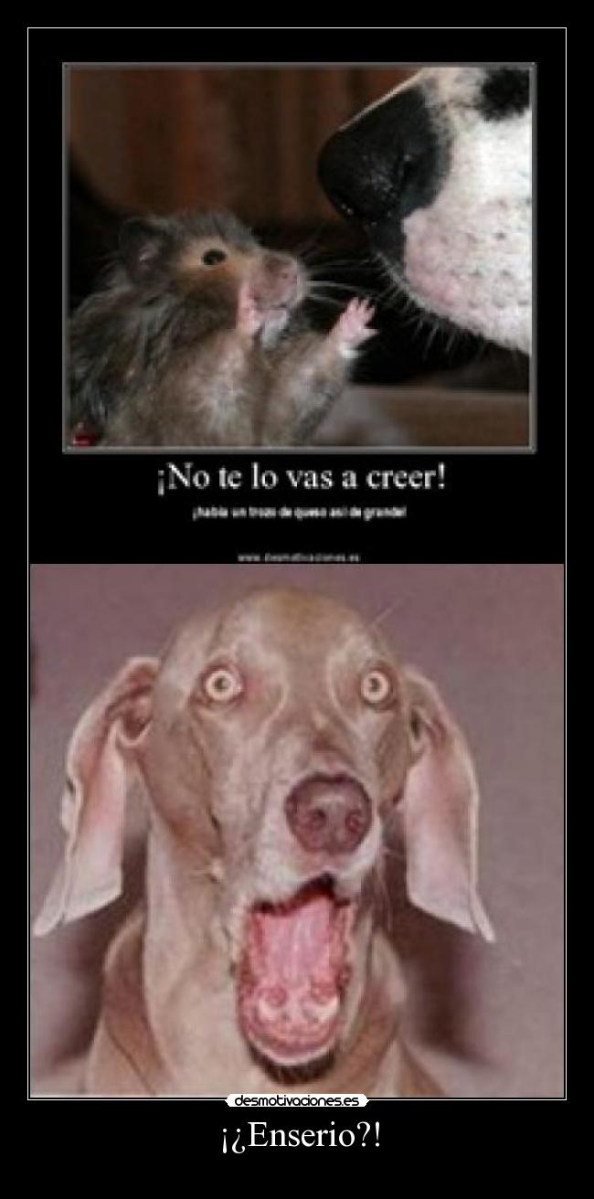 ¡¿Enserio?! -