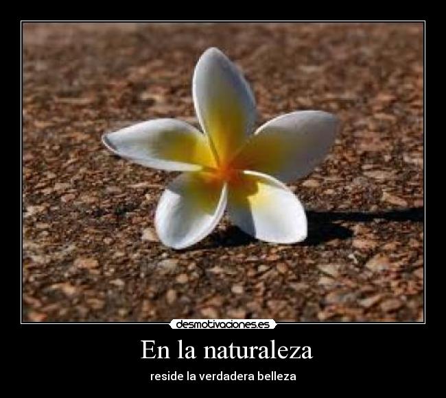  En la naturaleza - reside la verdadera belleza