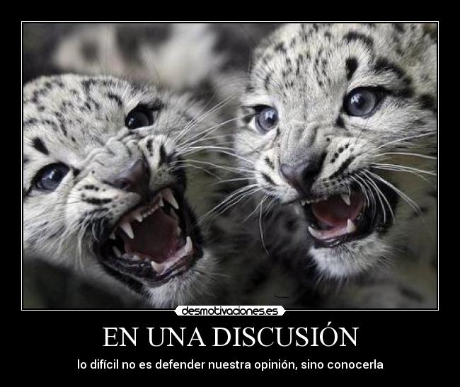 carteles discusion dificil defender nuestra opinion sino conocerla desmoconcurso acv vmarkina tigres animales desmotivaciones