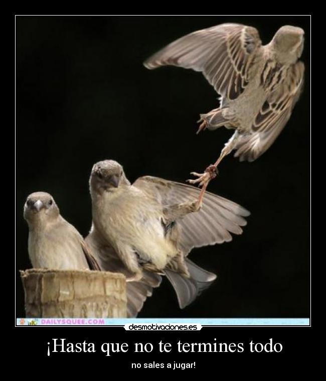 carteles hasta que termines todo sales jugar desmotivaciones