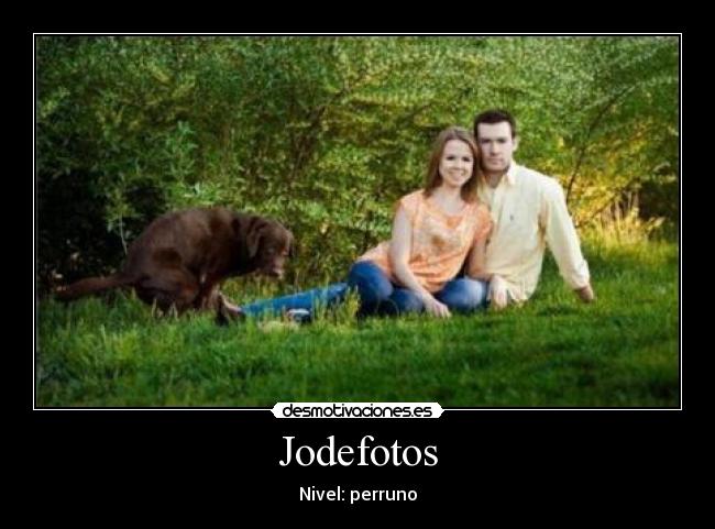 Jodefotos - Nivel: perruno