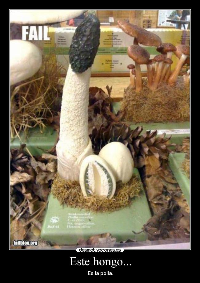 carteles eldeabajoesmejor desmotivaciones