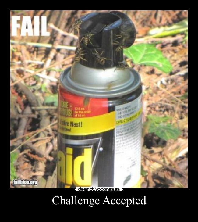 Challenge Accepted - 