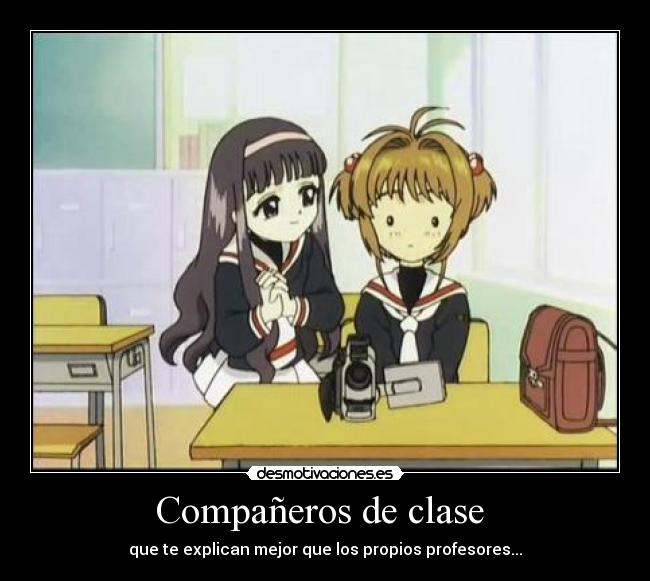 Compañeros de clase  - 