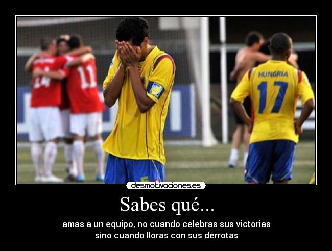 Sabes qué... - amas a un equipo, no cuando celebras sus victorias
sino cuando lloras con sus derrotas