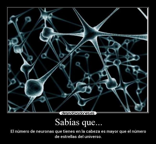 Sabías que... - El número de neuronas que tienes en la cabeza es mayor que el número
de estrellas del universo.