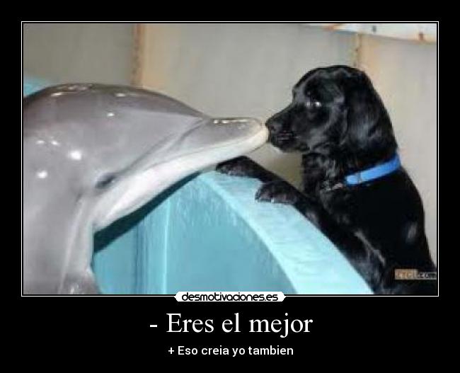 carteles 5263879 desmotivaciones