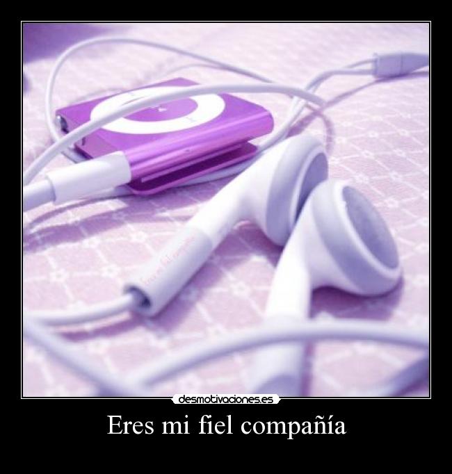 Eres mi fiel compañía -