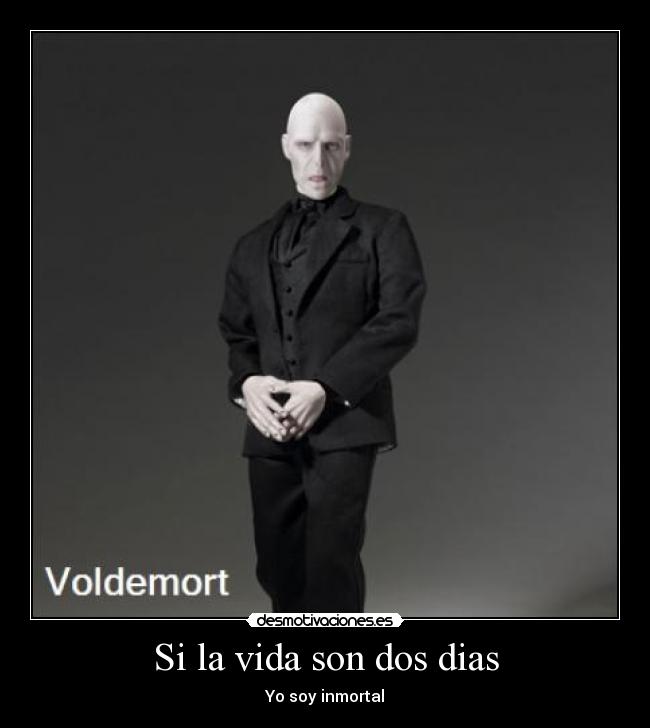 carteles vida voldemort desmotivaciones