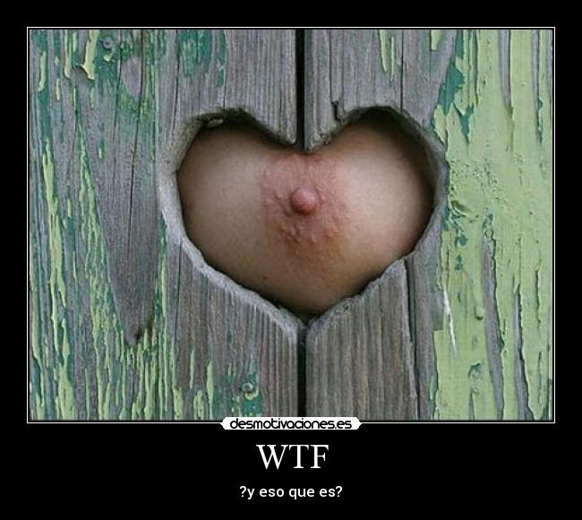 WTF - 