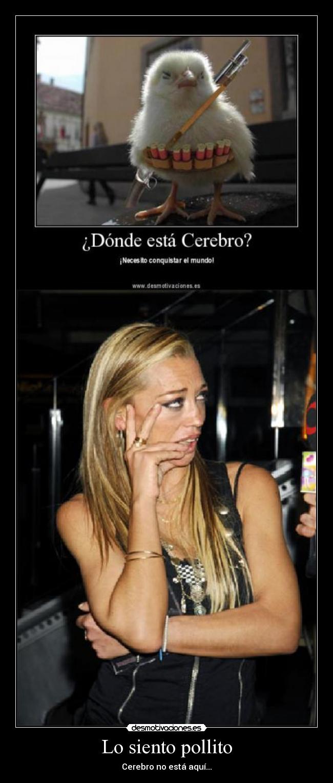 carteles belen esteban pollito cerebro desmotivaciones