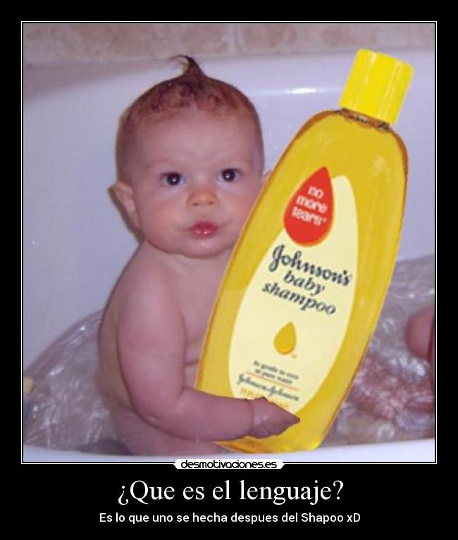 ¿Que es el lenguaje? - Es lo que uno se hecha despues del Shapoo xD