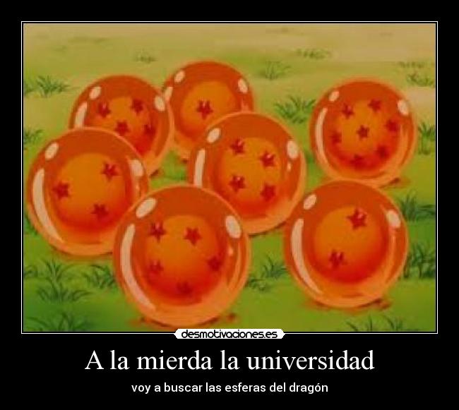 carteles dragon ball esferas desmotivaciones