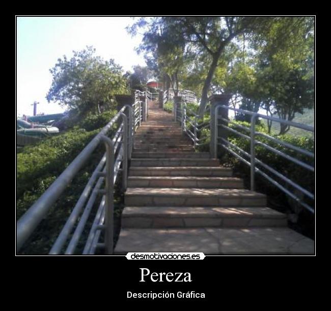 Pereza -