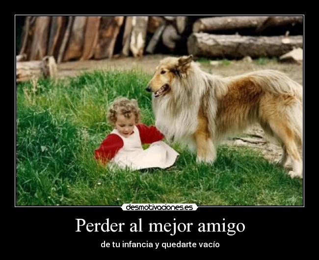 Perder al mejor amigo - 