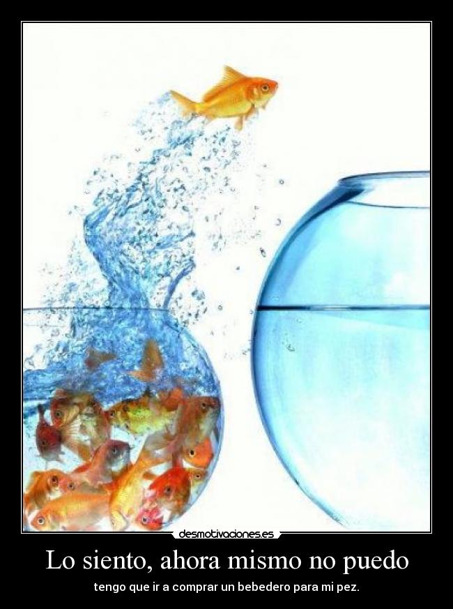 Lo siento, ahora mismo no puedo -