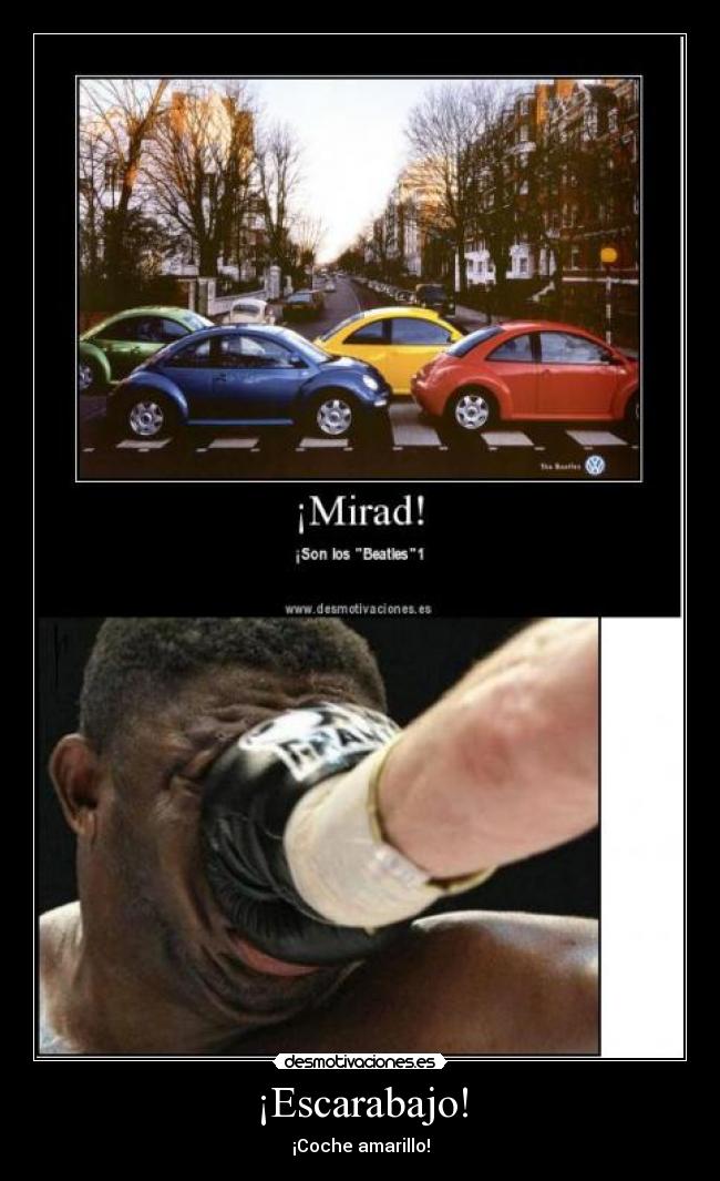 ¡Escarabajo! -
