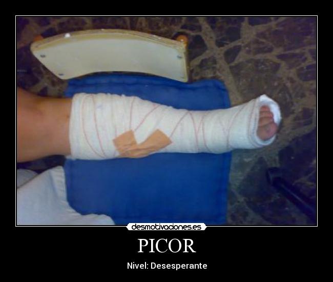 PICOR - 