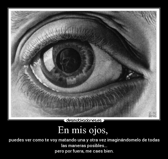 carteles pero por fuera caes bien desmotivaciones