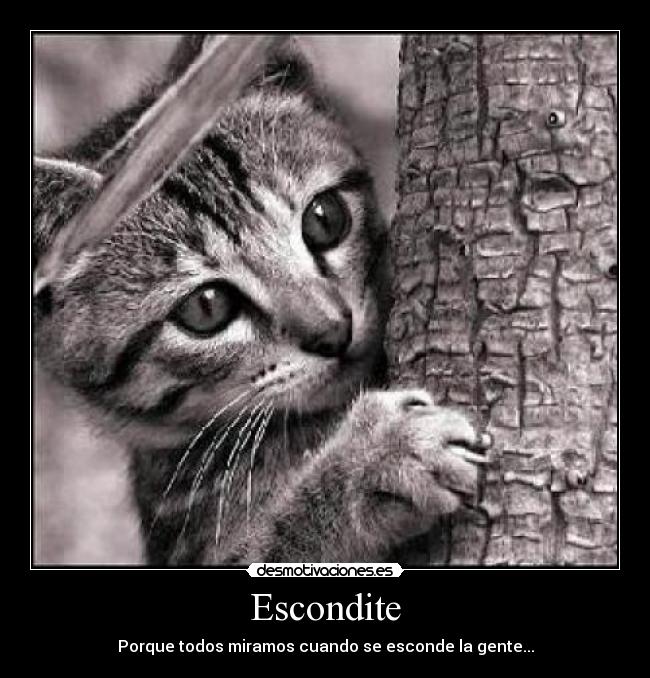Escondite - 