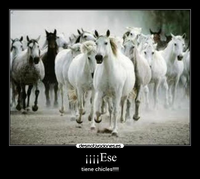 ¡¡¡¡Ese - tiene chicles!!!!!