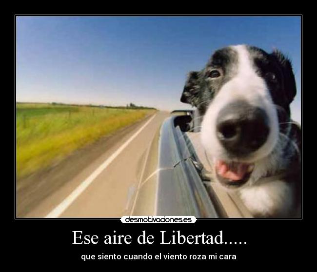 Ese aire de Libertad..... - 