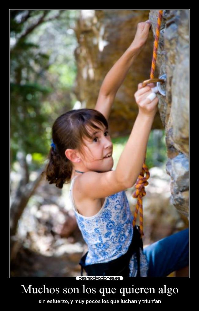 Muchos son los que quieren algo - 