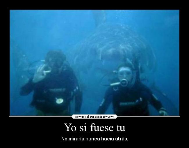 Yo si fuese tu - No miraría nunca hacia atrás.